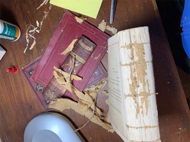 Spine in need of repair