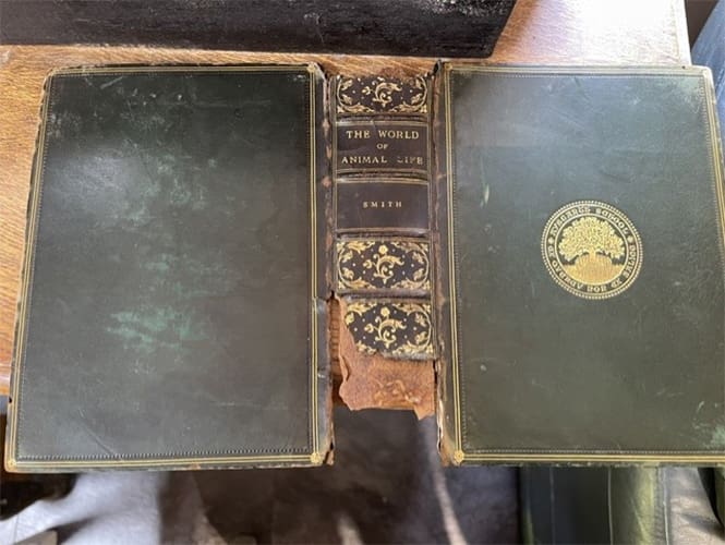Book in in process of repair
