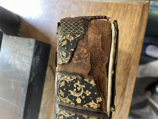 Spine in need of repair