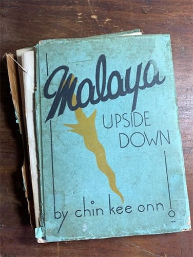 Malaya Upside Down by Chin Kee Ann